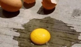 吉林鸡蛋大爷最新爆料,揭秘鸡蛋市场的惊人内幕