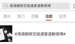 天津滴滴最新爆料,揭秘网约车行业新动态与争议焦点