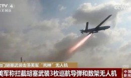 最新国产武器爆料,揭秘最新国产武器震撼亮相