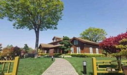 易家房产爆料最新消息查询,揭秘房地产市场最新动态与趋势