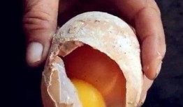 吉林鸡蛋大爷最新爆料,揭秘鸡蛋市场的惊人内幕