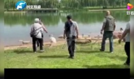 爆料郑州楼盘事件最新消息,揭露开发商违规与维权真相