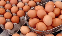 吉林鸡蛋大爷最新爆料,揭秘鸡蛋市场的惊人内幕