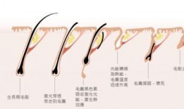 广州医美黑幕最新爆料,揭秘行业潜规则与患者安全危机